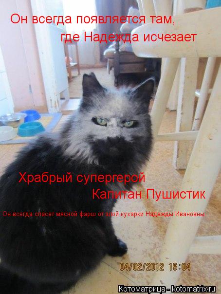 Он всегда появляется там, где Надежда исчезает Храбрый супергерой Капитан Пушистик Он всегда спасет ... Котоматрица: Он всегда появляется там, где Надежда исчезает Храбрый супергерой Капитан Пушистик Он всегда спасет мясной фарш от злой кухарки Надежды И