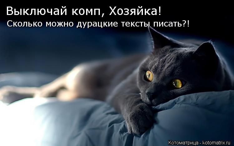 Выключай комп, Хозяйка! Сколько можно дурацкие тексты писать?!... Котоматрица: Выключай комп, Хозяйка! Сколько можно дурацкие тексты писать?!