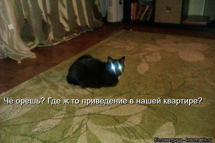 Чё орёшь? Где ж то приведение в нашей квартире?... Котоматрица: Чё орёшь? Где ж то приведение в нашей квартире?