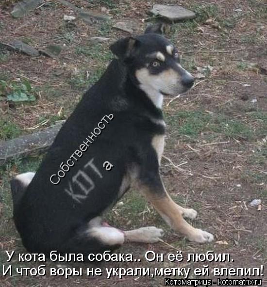 Собственность а У кота была собака.. Он её любил. И чтоб воры не украли,метку ей влепил!... Котоматрица: Собственность а У кота была собака.. Он её любил. И чтоб воры не украли,метку ей влепил!