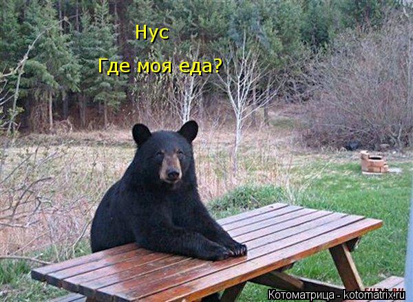 Где моя еда? Нус... Котоматрица: Где моя еда? Нус
