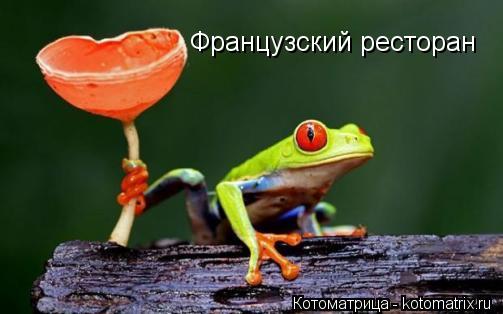 Французский ресторан... Котоматрица: Французский ресторан