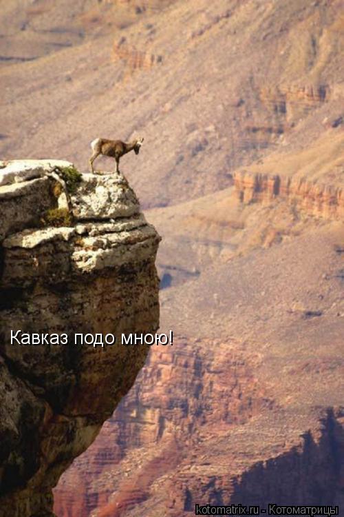 Кавказ подо мною!... Котоматрица: Кавказ подо мною!