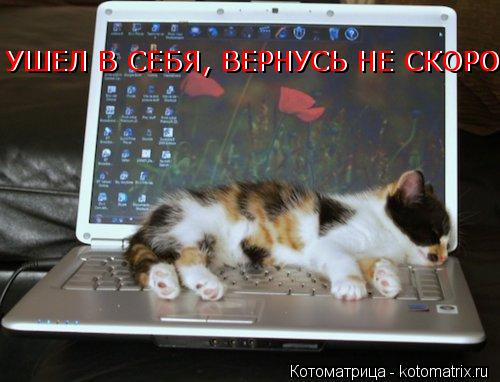 УШЕЛ В СЕБЯ, ВЕРНУСЬ НЕ СКОРО!!! УШЕЛ В СЕБЯ, ВЕРНУСЬ НЕ СКОРО!!!... Котоматрица: УШЕЛ В СЕБЯ, ВЕРНУСЬ НЕ СКОРО!!! УШЕЛ В СЕБЯ, ВЕРНУСЬ НЕ СКОРО!!!
