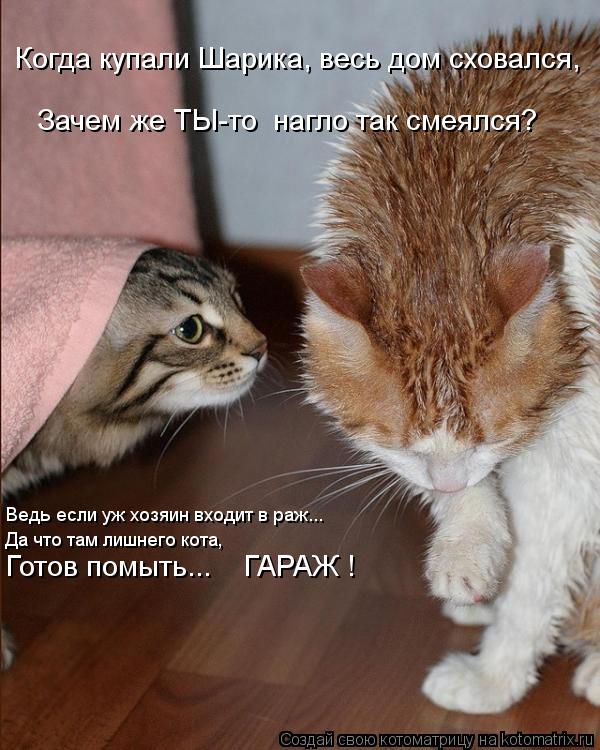 Зачем же ТЫ-то нагло так смеялся? Когда купали Шарика, весь дом сховался, Готов помыть... ГАРАЖ !... Котоматрица: Зачем же ТЫ-то нагло так смеялся? Когда купали Шарика, весь дом сховался, Готов помыть... ГАРАЖ ! Да что там лишнего кота, Ведь если уж хозяин