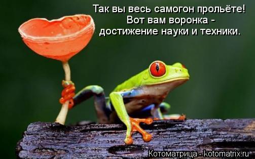 Так вы весь самогон прольёте! Вот вам воронка - достижение науки и техники.... Котоматрица: Так вы весь самогон прольёте! Вот вам воронка - достижение науки и техники.