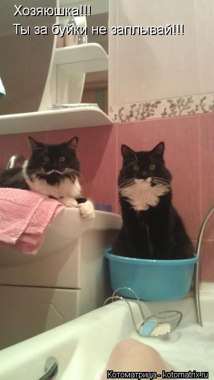 Хозяюшка!!! Ты за буйки не заплывай!!!... Котоматрица: Хозяюшка!!! Ты за буйки не заплывай!!!