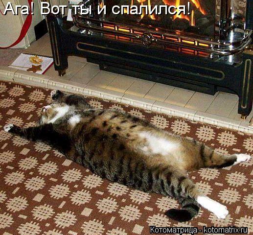 Ага! Вот ты и спалился!... Котоматрица: Ага! Вот ты и спалился!