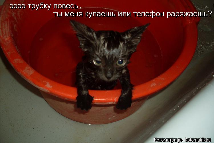 ээээ трубку повесь ты меня купаешь или телефон раряжаешь? ,... Котоматрица: ээээ трубку повесь ты меня купаешь или телефон раряжаешь? ,