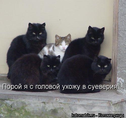 Порой я с головой ухожу в суеверия...... Котоматрица: Порой я с головой ухожу в суеверия...