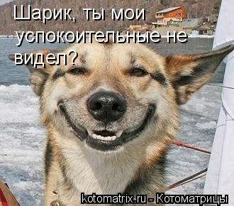 Шарик, ты мои успокоительные не видел?... Котоматрица: Шарик, ты мои успокоительные не видел?