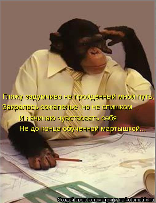 Гляжу задумчиво на пройденный мной путь; Закралось сожаленье, но не слишком... И начинаю чувствовать ... Котоматрица: Гляжу задумчиво на пройденный мной путь; Закралось сожаленье, но не слишком... И начинаю чувствовать себя Не до конца обученной мартышкой...