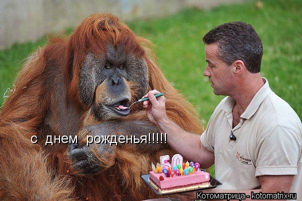 с днем рожденья!!!!!... Котоматрица: с днем рожденья!!!!!
