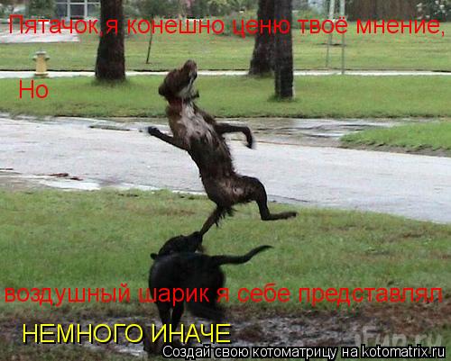 Пятачок,я конешно ценю твоё мнение, Но воздушный шарик я себе представлял НЕМНОГО ИНАЧЕ... Котоматрица: Пятачок,я конешно ценю твоё мнение, Но воздушный шарик я себе представлял НЕМНОГО ИНАЧЕ
