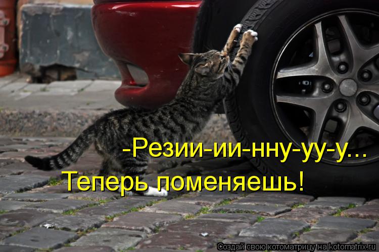 -Резии-ии-нну-уу-у... Теперь поменяешь!... Котоматрица: -Резии-ии-нну-уу-у... Теперь поменяешь!