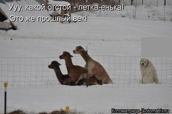 Ууу, какой отстой - летка-енька! Это же прошлый век!... Котоматрица: Ууу, какой отстой - летка-енька! Это же прошлый век!