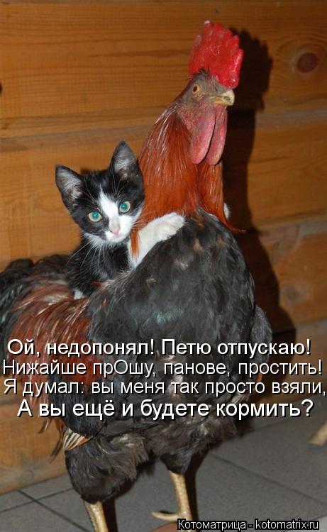 Ой, недопонял! Петю отпускаю! Нижайше прОшу, панове, простить! Я думал: вы меня так просто взяли, А в... Котоматрица: Ой, недопонял! Петю отпускаю! Нижайше прОшу, панове, простить! Я думал: вы меня так просто взяли, А вы ещё и будете кормить?