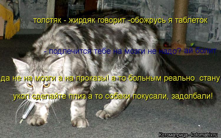 толстяк - жирдяк говорит -обожрусь я таблеток - подлечится тебе на мозги не надо? ай болит да не на м... Котоматрица: толстяк - жирдяк говорит -обожрусь я таблеток - подлечится тебе на мозги не надо? ай болит да не на мозги а на проказы! а то больным реально ст