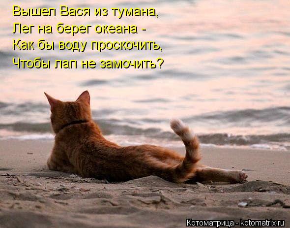 Вышел Вася из тумана, Лег на берег океана - Как бы воду проскочить, Чтобы лап не замочить?... Котоматрица: Вышел Вася из тумана, Лег на берег океана - Как бы воду проскочить, Чтобы лап не замочить?