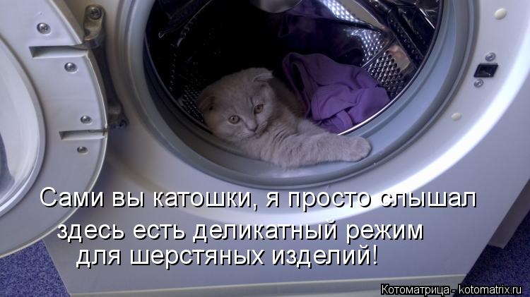 Сами вы катошки, я просто слышал здесь есть деликатный режим для шерстяных изделий!... Котоматрица: Сами вы катошки, я просто слышал здесь есть деликатный режим для шерстяных изделий!