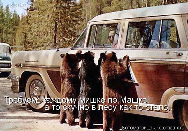 Требуем: каждому мишке по Машке! а то скучно в лесу как то стало...... Котоматрица: Требуем: каждому мишке по Машке! а то скучно в лесу как то стало...