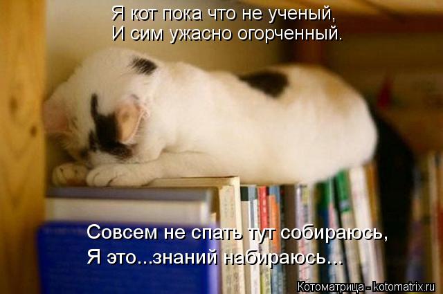 Котоматрица: Я кот пока что не ученый, И сим ужасно огорченный. Совсем не спать тут собираюсь, Я это...знаний набираюсь...