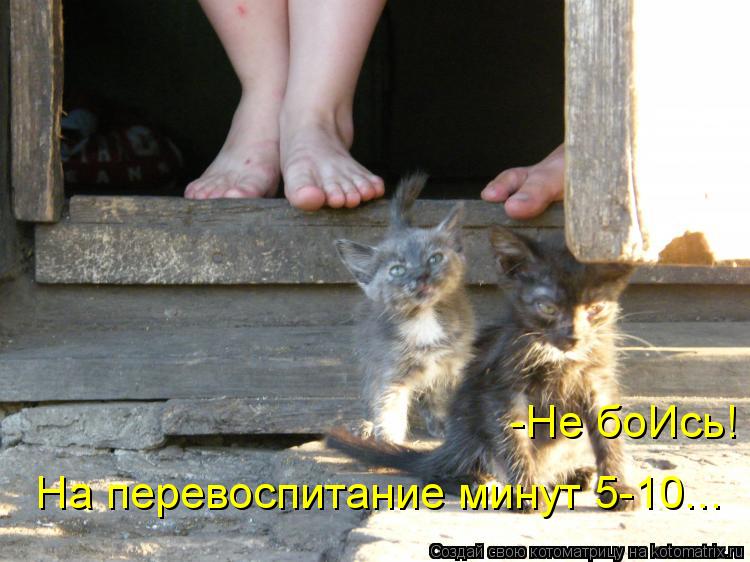 -Не боИсь! На перевоспитание минут 5-10...... Котоматрица: -Не боИсь! На перевоспитание минут 5-10...