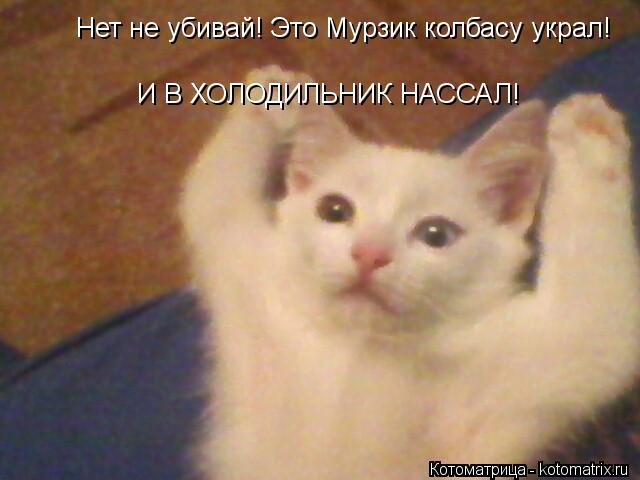 Нет не убивай! Это Мурзик колбасу украл! И В ХОЛОДИЛЬНИК НАССАЛ!... Котоматрица: Нет не убивай! Это Мурзик колбасу украл! И В ХОЛОДИЛЬНИК НАССАЛ!