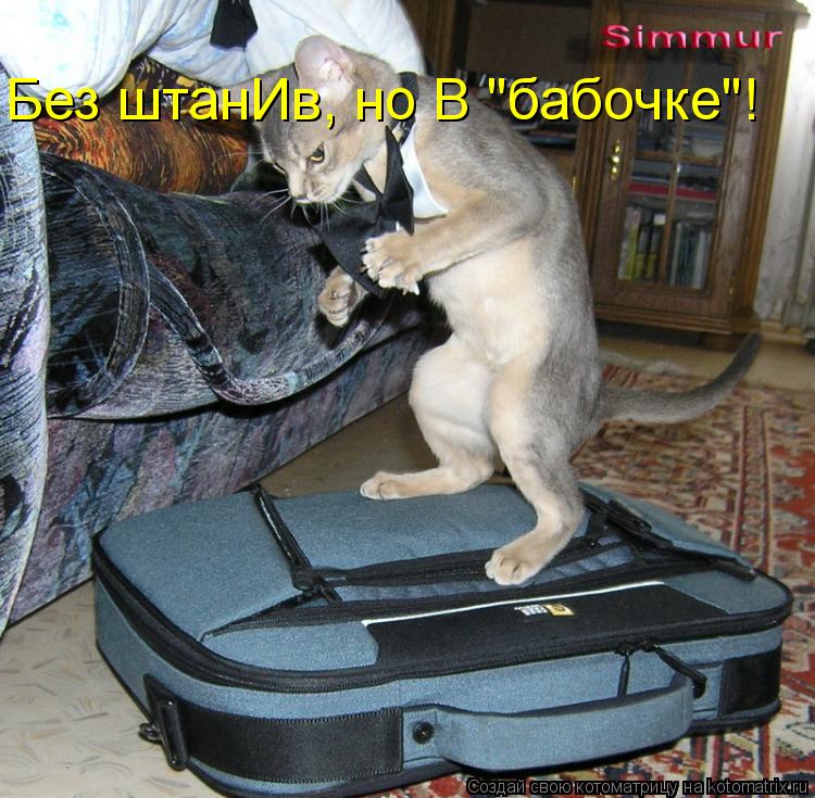 Без штанИв, но В "бабочке"!... Котоматрица: Без штанИв, но В "бабочке"!