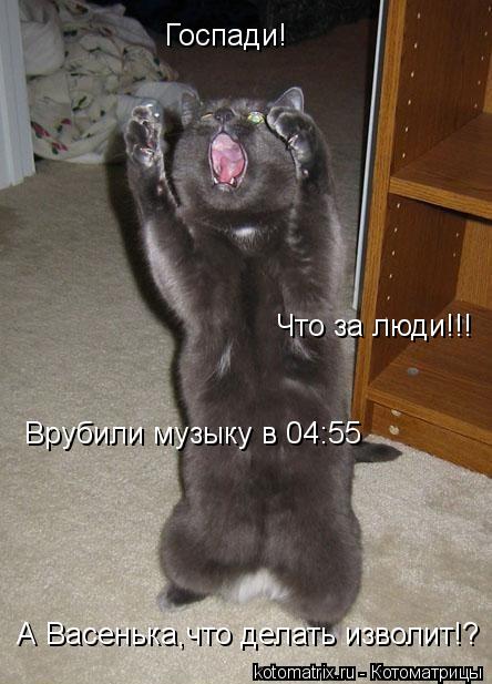 Госпади! Что за люди!!! Врубили музыку в 04:55 А Васенька,что делать изволит!?... Котоматрица: Госпади! Что за люди!!! Врубили музыку в 04:55 А Васенька,что делать изволит!?
