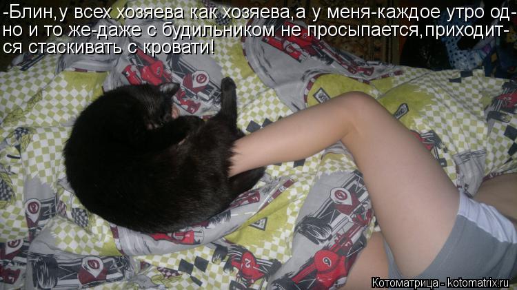 -Блин,у всех хозяева как хозяева,а у меня-каждое утро од- но и то же-даже с будильником не просыпаетс... Котоматрица: -Блин,у всех хозяева как хозяева,а у меня-каждое утро од- но и то же-даже с будильником не просыпается,приходит- ся стаскивать с кровати!