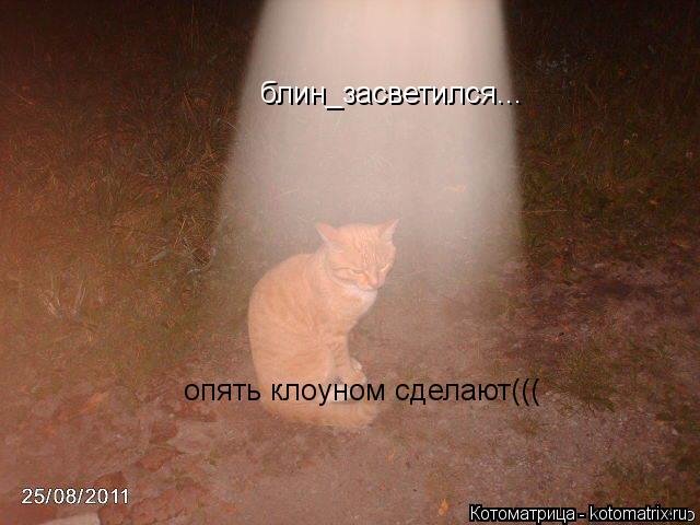 блин_засветился... опять клоуном сделают(((... Котоматрица: блин_засветился... опять клоуном сделают(((