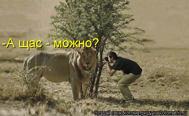 -А щас - можно?... Котоматрица: -А щас - можно?