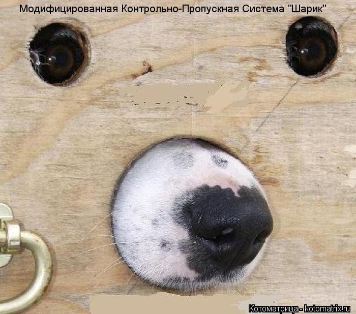 Модифицированная Контрольно-Пропускная Система "Шарик"... Котоматрица: Модифицированная Контрольно-Пропускная Система "Шарик"