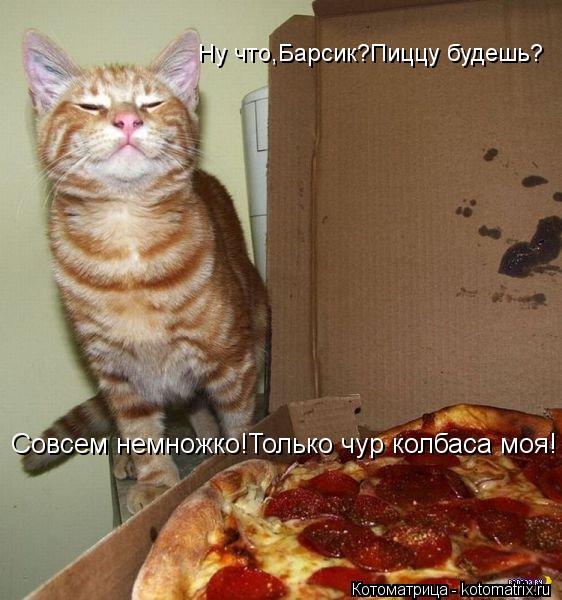Ну что,Барсик?Пиццу будешь? Ну что,Барсик?Пиццу будешь? Совсем немножко!Только чур колбаса моя!... Котоматрица: Ну что,Барсик?Пиццу будешь? Ну что,Барсик?Пиццу будешь? Совсем немножко!Только чур колбаса моя!