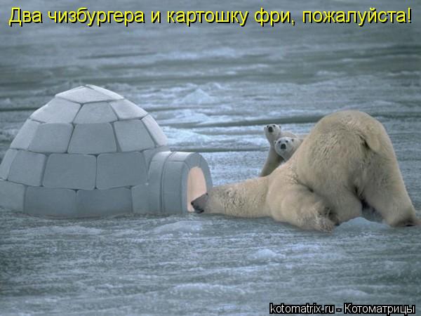 Два чизбургера и картошку фри, пожалуйста!... Котоматрица: Два чизбургера и картошку фри, пожалуйста!