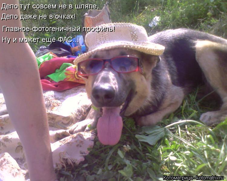 Дело тут совсем не в шляпе, Дело даже не в очках! Главное-фотогеничный профиль! Ну и может ещё ФАС...... Котоматрица: Дело тут совсем не в шляпе, Дело даже не в очках! Главное-фотогеничный профиль! Ну и может ещё ФАС...