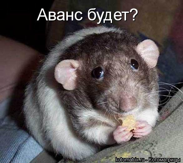Аванс будет?... Котоматрица: Аванс будет?