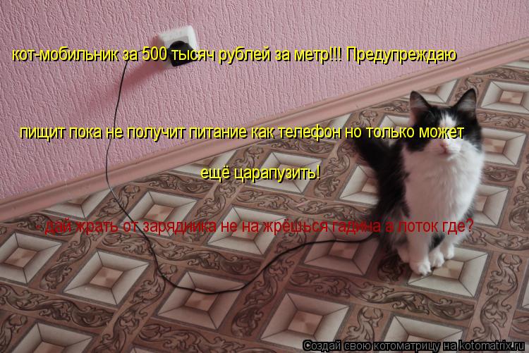 кот-мобильник за 500 тысяч рублей за метр!!! Предупреждаю пищит пока не получит питание как телефон н... Котоматрица: кот-мобильник за 500 тысяч рублей за метр!!! Предупреждаю пищит пока не получит питание как телефон но только может ещё царапузить! - дай жрат