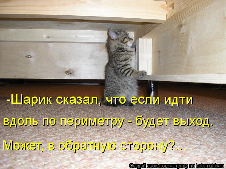 -Шарик сказал, что если идти вдоль по периметру - будет выход. Может, в обратную сторону?...... Котоматрица: -Шарик сказал, что если идти вдоль по периметру - будет выход. Может, в обратную сторону?...