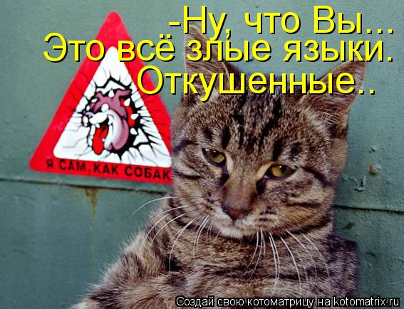 -Ну, что Вы... Это всё злые языки. Откушенные..... Котоматрица: -Ну, что Вы... Это всё злые языки. Откушенные..
