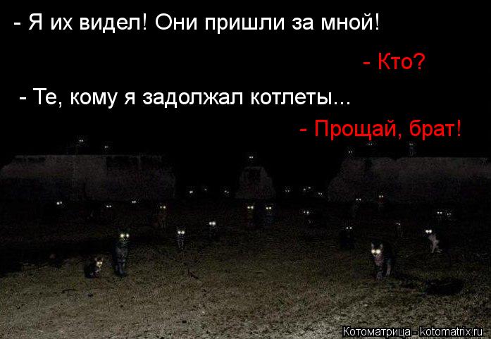 - Я их видел! Они пришли за мной! - Кто? - Те, кому я задолжал котлеты... - Прощай, брат!... Котоматрица: - Я их видел! Они пришли за мной! - Кто? - Те, кому я задолжал котлеты... - Прощай, брат!