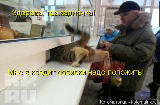 Здорова, гражадночка! Мне в кредит сосиски надо положить!... Котоматрица: Здорова, гражадночка! Мне в кредит сосиски надо положить!