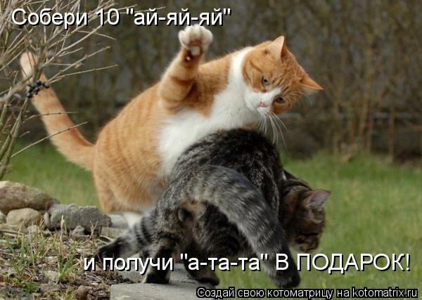 Собери 10 "ай-яй-яй" и получи "а-та-та" В ПОДАРОК!... Котоматрица: Собери 10 "ай-яй-яй" и получи "а-та-та" В ПОДАРОК!