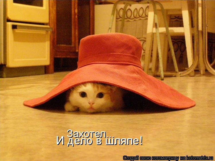Захотел... И дело в шляпе!... Котоматрица: Захотел... И дело в шляпе!