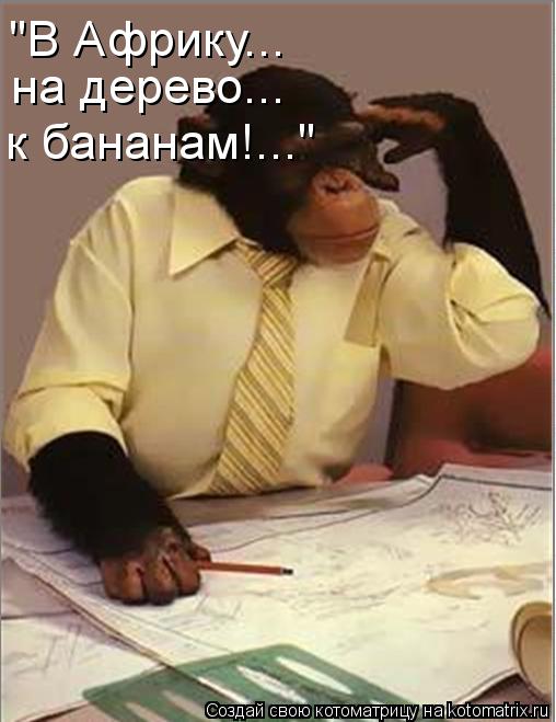 "В Африку... на дерево... к бананам!..."... Котоматрица: "В Африку... на дерево... к бананам!..."