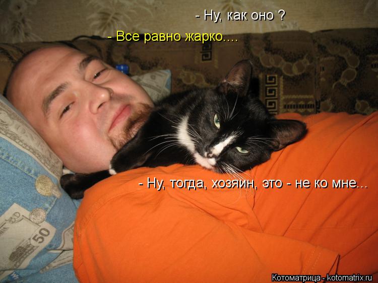 - Ну, как оно ? - Все равно жарко.... - Ну, тогда, хозяин, это - не ко мне...... Котоматрица: - Ну, как оно ? - Все равно жарко.... - Ну, тогда, хозяин, это - не ко мне...