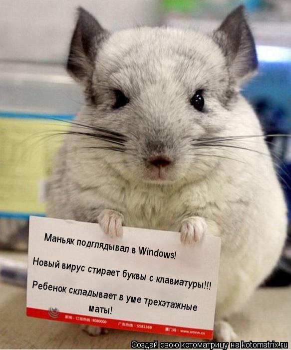 Маньяк подглядывал в Windows! Новый вирус стирает буквы с клавиатуры!!! Ребенок складывает в уме трех... Котоматрица: Маньяк подглядывал в Windows! Новый вирус стирает буквы с клавиатуры!!! Ребенок складывает в уме трехэтажные маты!