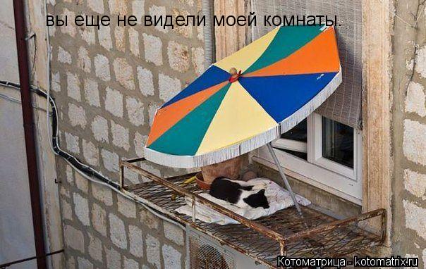 вы еще не видели моей комнаты.... Котоматрица: вы еще не видели моей комнаты.