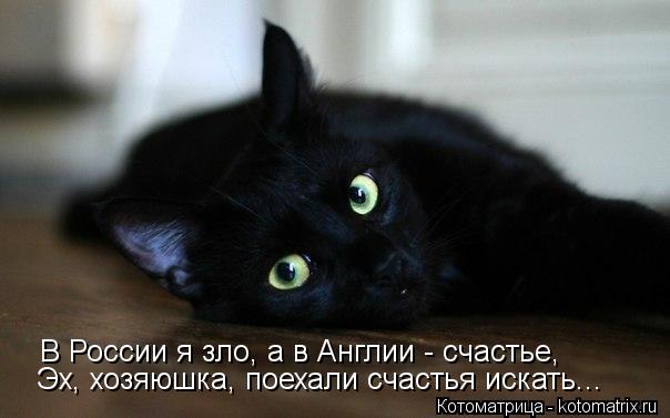 В России я зло, а в Англии - счастье, Эх, хозяюшка, поехали счастья искать...... Котоматрица: В России я зло, а в Англии - счастье, Эх, хозяюшка, поехали счастья искать...